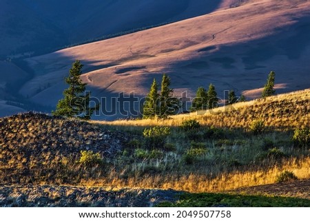 The surroundings of the North-Chui ridge near the village of Kurai. Kosh-Agachsky District of the Altai Republic, Southern Siberia, Russia