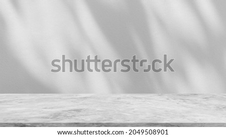 Empty cement floor and blurred shadow leaves on wall background, well editing montage display product and text present on free space backdrop 