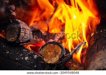 A bonfire made of pine sticks and branches is burning with a bright orange warm warming flame with shining sparks, in the open forest in nature for camping. 