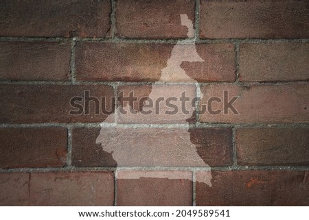 painted map of cameroon on a old brick wall