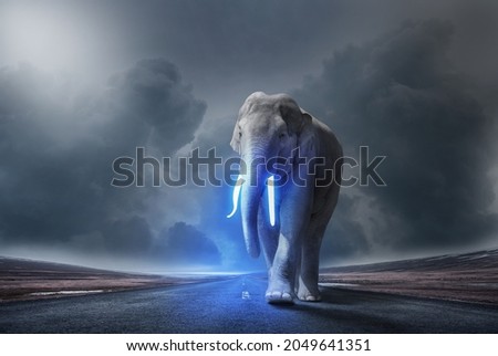 large elephant in mystical surroundings on a car country road with glowing blue ivory, symbolic image for gentleness love and animal welfare