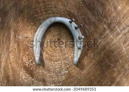 Vintage horse shoe with metal nails on a wooden tree stump background. Royalty-Free Stock Photo #2049689351