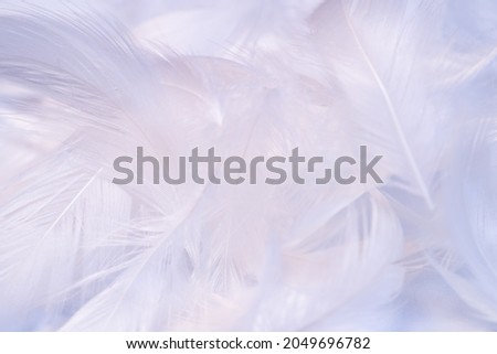 Full frame of white feather, background material