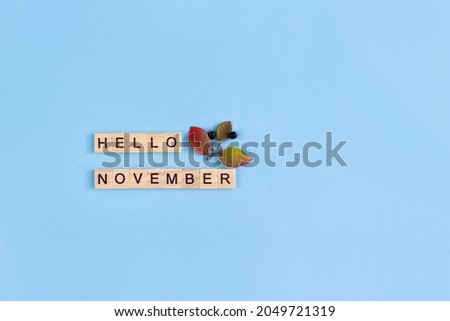 Phrase Hello November on wooden blocks with letters and autumn leaves with berries on blue background. Minimal autumn concept