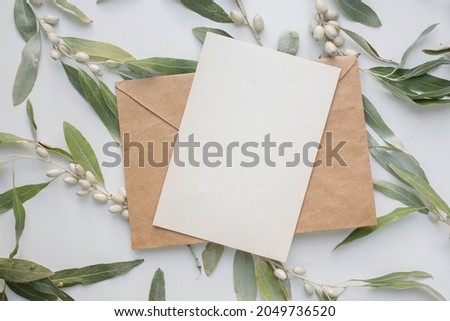 invitation card mockup with branch of Elaeagnus argentea.
rabbitberry. silverberry. 
