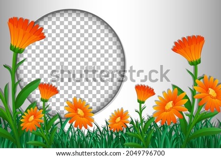 Round frame transparent with tropical flowers and leaves template illustration