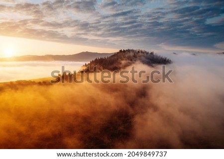 Magical thick fog covers the mountains in the rays of morning light. Location place Carpathian mountains, Ukraine, Europe. Fresh vibrant colors. Perfect photo wallpaper. Discover the beauty of earth.