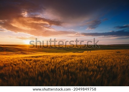 Spectacular scene of agricultural land in the sunlight in the evening. Location place of Ukrainian agrarian region, Europe. Scenic image of dramatic light. Perfect natural wallpaper. Beauty of earth.