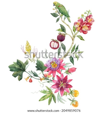 Beautiful tropical floral composition with hand drawn watercolor exotic jungle flowers. Stock illustration. Clip art.