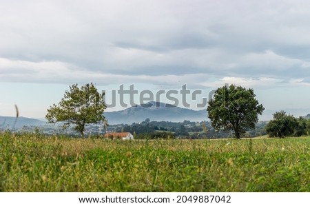 Beautiful landscape with large mountains, trees and little houses.