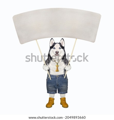 A dog husky with a big blank poster on wooden sticks. White background. Isolated.