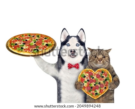 A dog husky and a reddish cat with pizza. White background. Isolated.