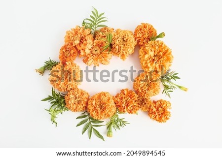 autumn frame with place for text. beautiful orange flowers on a white background. minimalistic autumnal composition, top view.