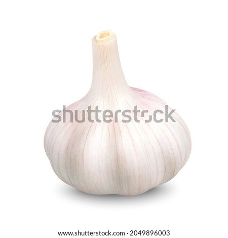 Realistic garlic. Head of dried garlic isolated on white background. Vector 3D illustration. Royalty-Free Stock Photo #2049896003