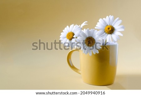 Wild chamomile flowers in yellow dishes on a yellow background. Flowers with white petals on a light background copy space