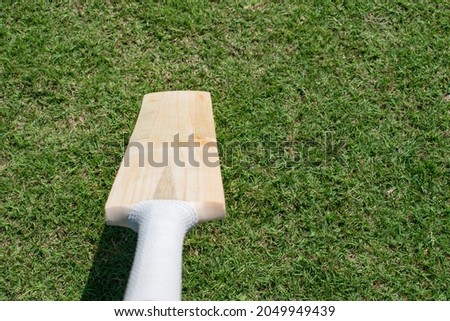 Holding cricket bat against the green natural background. 