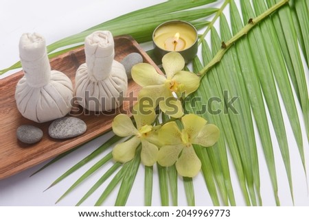 SPA concept: composition of spa treatment on green palm background