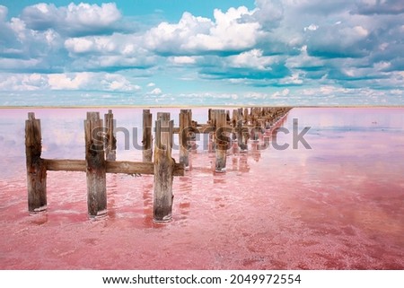 The pink lake is a beautiful landscape, unusual nature. A unique rare natural phenomenon. Salt lake with pink algae. Beautiful landscape. Royalty-Free Stock Photo #2049972554