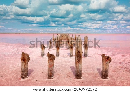 The pink lake is a beautiful landscape, unusual nature. A unique rare natural phenomenon. Salt lake with pink algae. Beautiful landscape. Royalty-Free Stock Photo #2049972572
