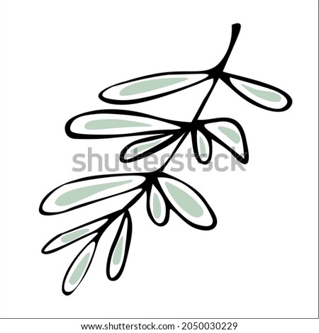 Beauty hand drawn herbal elements. A simple, decorative, botanical twig. Doodle for social media stories. Black and white vector for holiday designs, wedding invitations, logos and greeting cards.