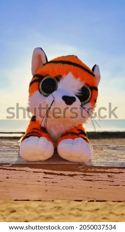 Tiger beach new year christmas china chinese calendar sea red sea palm egypt sky swing toy 