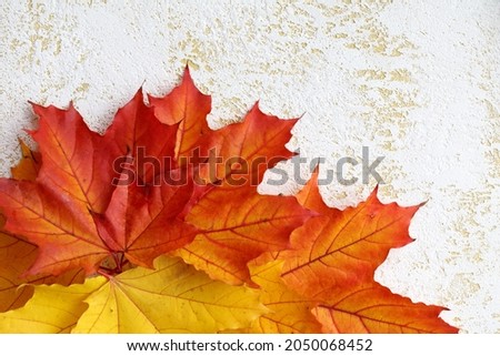 Orange autumn leaves on concrete white and yellow background with space for text