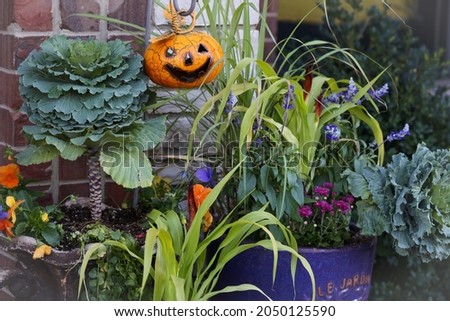 Welcoming happy pumpkin awaits visitors to this charming fall garden vignette with a patio entrance for a fun filled Halloween. Decorative containers filled with cold hardy ornamental kale and Millet