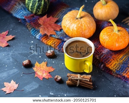 autumn warm composition, yellow mug with hot coffee on a dark table. Knitted colorful scarf, red maple leaves and pumpkins