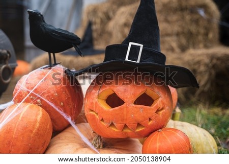 Bunch of orange pumpkins for halloween, big black raven, wizard hat, jack-o-lantern with scary carved eyes,mouth.Hay,haystack in barn.Street decoration,entertainment for children, horror.