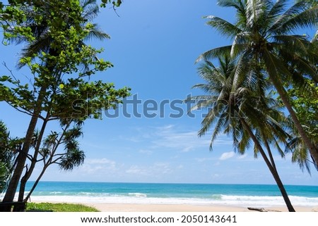 Tranquil beach scene island.Beautiful Palm trees of summer vacation holiday concept.Space area