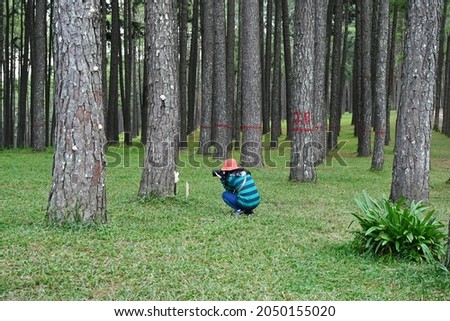 Tourists wearing blue-patterned green long-sleeved shirts and orange hats hold cameras to capture pictures of white mushrooms growing on pine trees. There are many large pine trees in the pine forest.
