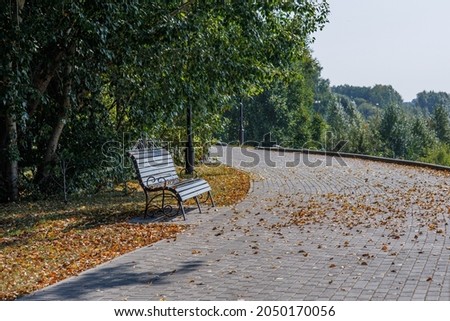 Wooden bench in the park. Walking around the city on an autumn sunny day. Autumn nature photo.