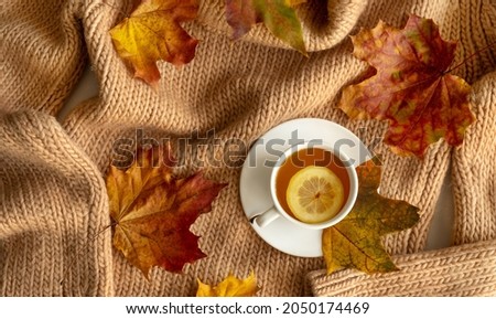 Autumn layout. Fallen bright leaves and cup of hot tea with lemon on a knitted background. Top view