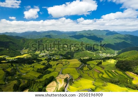 Beautiful terraced rice fields in Kochi prefecture, Japan Royalty-Free Stock Photo #2050196909