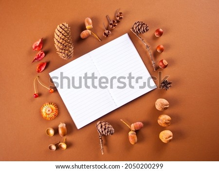 Autumn composition pattern with clear notebook, dry leaves, cones, acorns, berries, nuts.