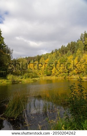 River flowing through the autumn forest. Autumn forest day