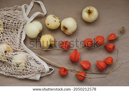 autumn still life with apples and orange flowers of physalis