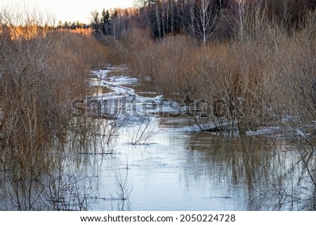 Floods in the woods after the melting of snow in springtime. Poured a river in the forest
