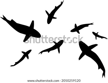 Silhouettes of groups of shark.