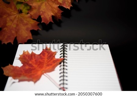 Autumn composition of yellow maple leaves and an open notebook on a black background.