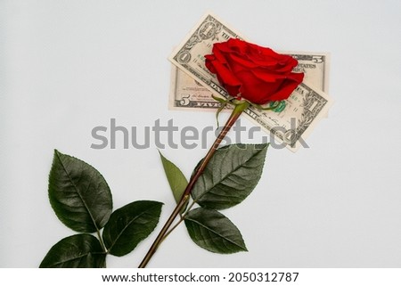 A red rose lies on dollar bills on a white background of the table. The concept of Valentine's Day.