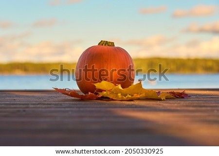 Pumpkin and autumn leaves on wooden boards with lake on the background