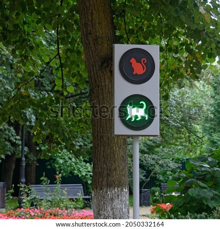Taking care of pets. Traffic light with a silhouette of a cat. Kaliningrad region. Blurred greenery background, copy space for your design.