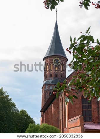 Medieval church in the Baltic Gothic architectural style on a background of green leaves with red hawthorn berries. Old building of Cathedral on island Kant, gothic temple of the 14th century.