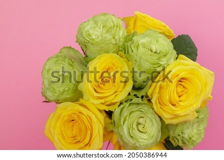 close-up of roses in a bouquet, flower arrangement with detail of the petals and their texture in studio with pink background, beauty of nature