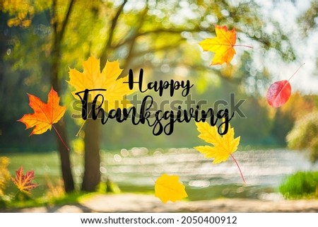 Happy Thanksgiving greeting card with lettering text on fall leaves.