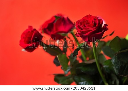 three red roses on a red background.