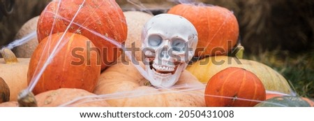 Bunch of orange pumpkins for halloween, big white skull, black raven, wizard hat, jack-o-lantern with scary carved eyes,mouth.Hay,haystack in barn.Street decoration,entertainment for children, horror.