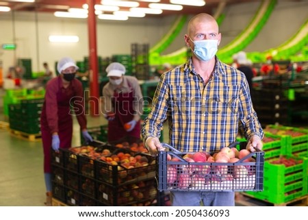 Loader in protective mask carrying box with fresh peaches at the sorting and packaging factory