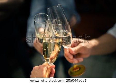 Friends raise glasses of champagne at a party Royalty-Free Stock Photo #2050448051
